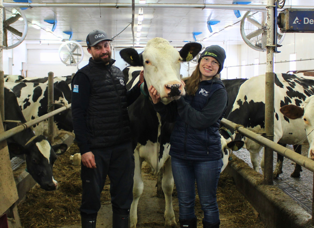Bryan Denis, l'éleveur qui ne vache pas