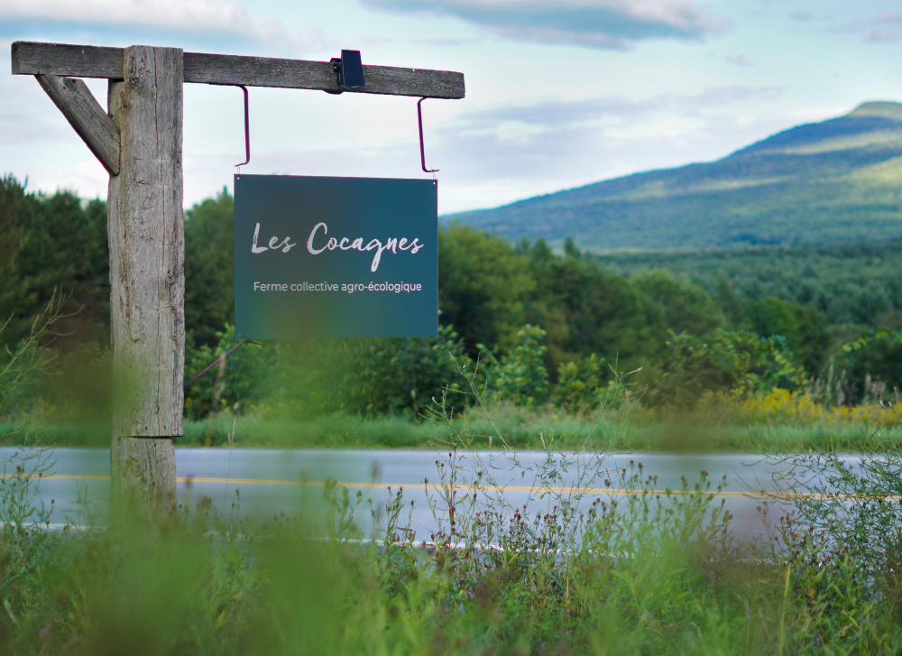 Réimaginer la ferme d’aujourd’hui : Les Cocagnes