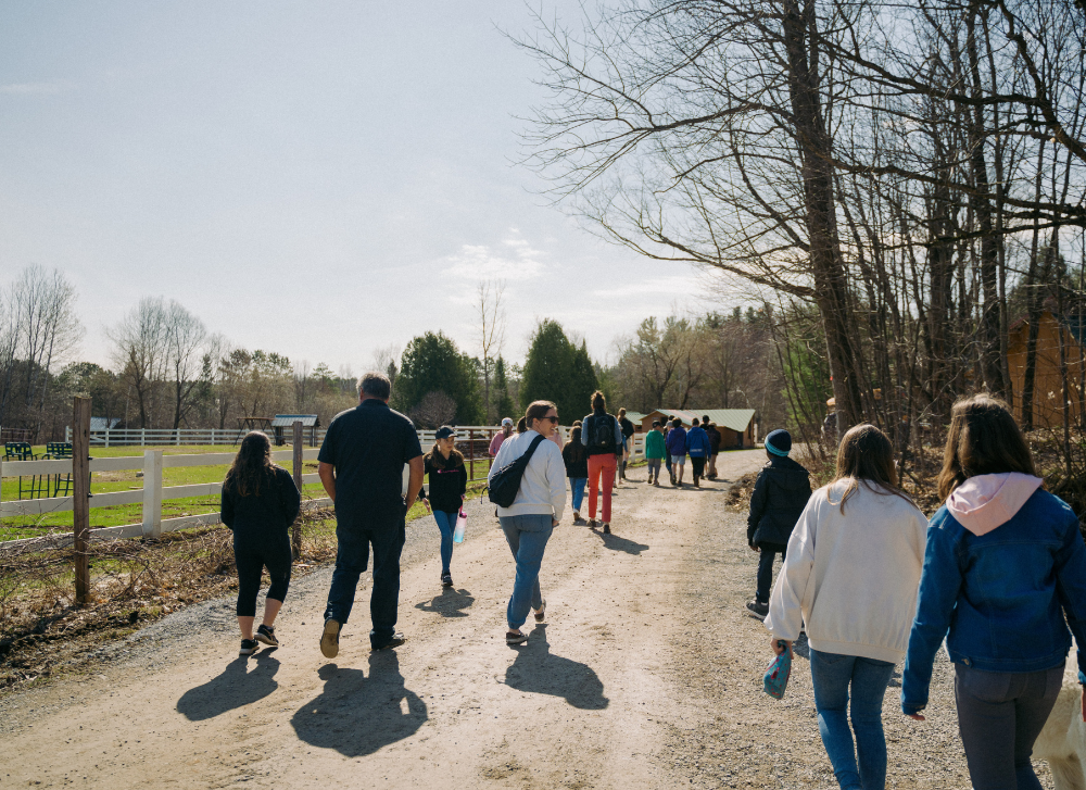 Jour de la Terre: 5 activités écologiques à faire au Québec