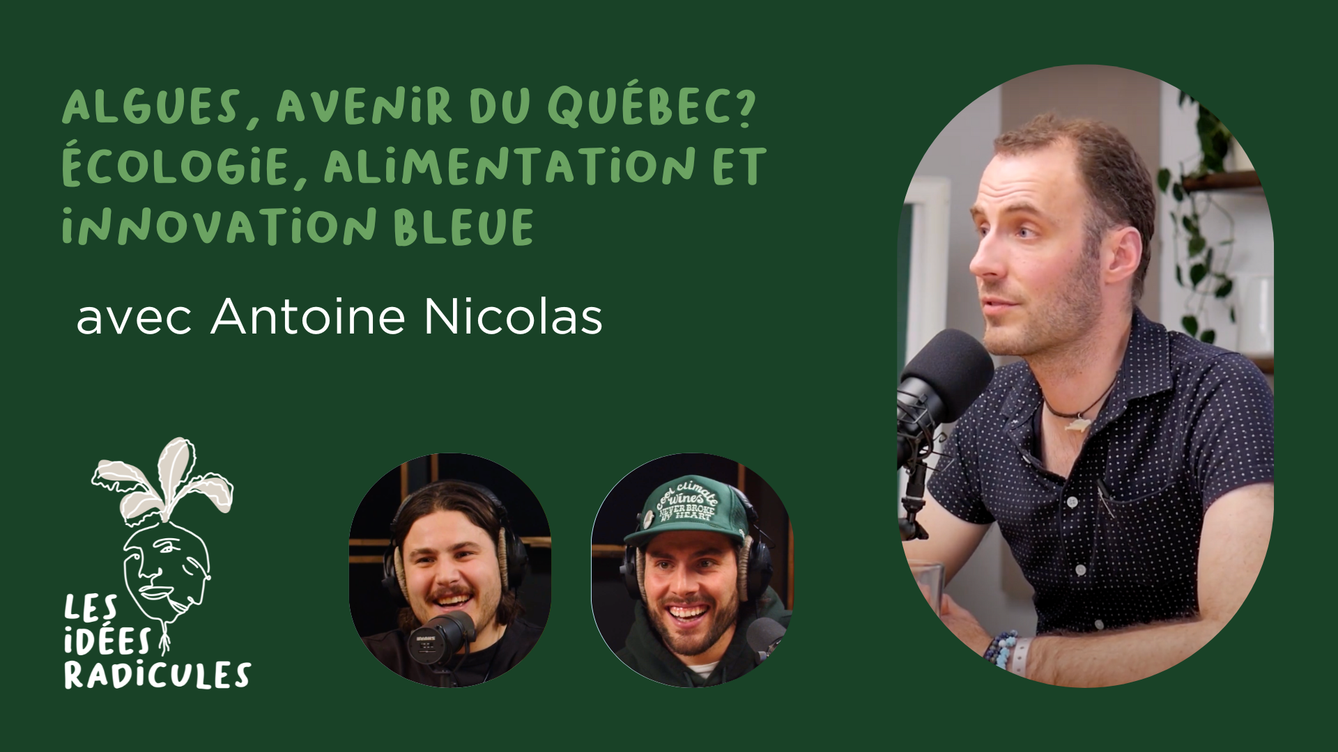 Algues du Saint-Laurent : Nourrir le Québec autrement - Les Idées Radicules