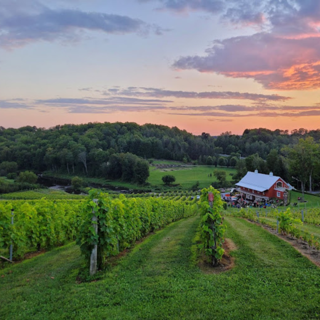 Vignoble Coteau des Artisans