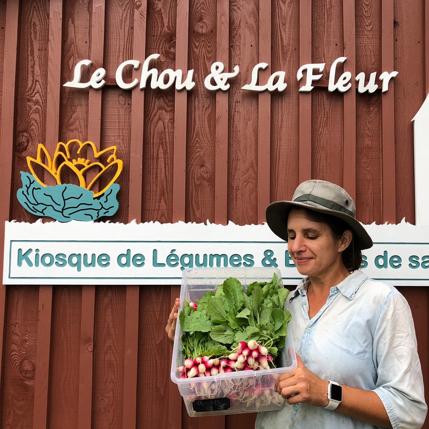 Le chou et la fleur