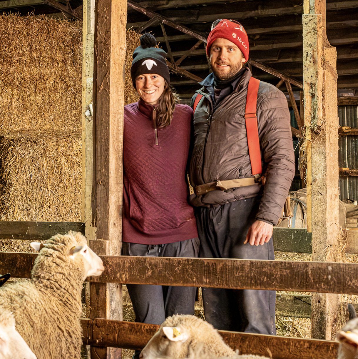 Ferme Péchés Moutons
