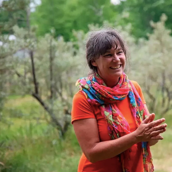 Les argousiers Ste-Christine