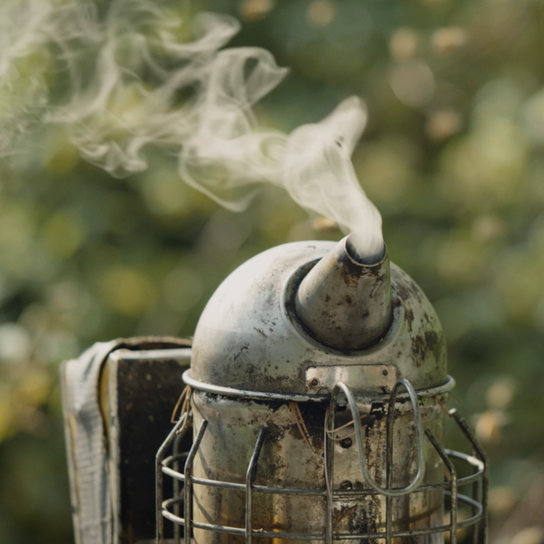 Le fascinant monde de l’apiculture