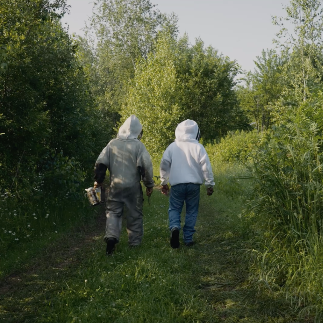 Le fascinant monde de l’apiculture