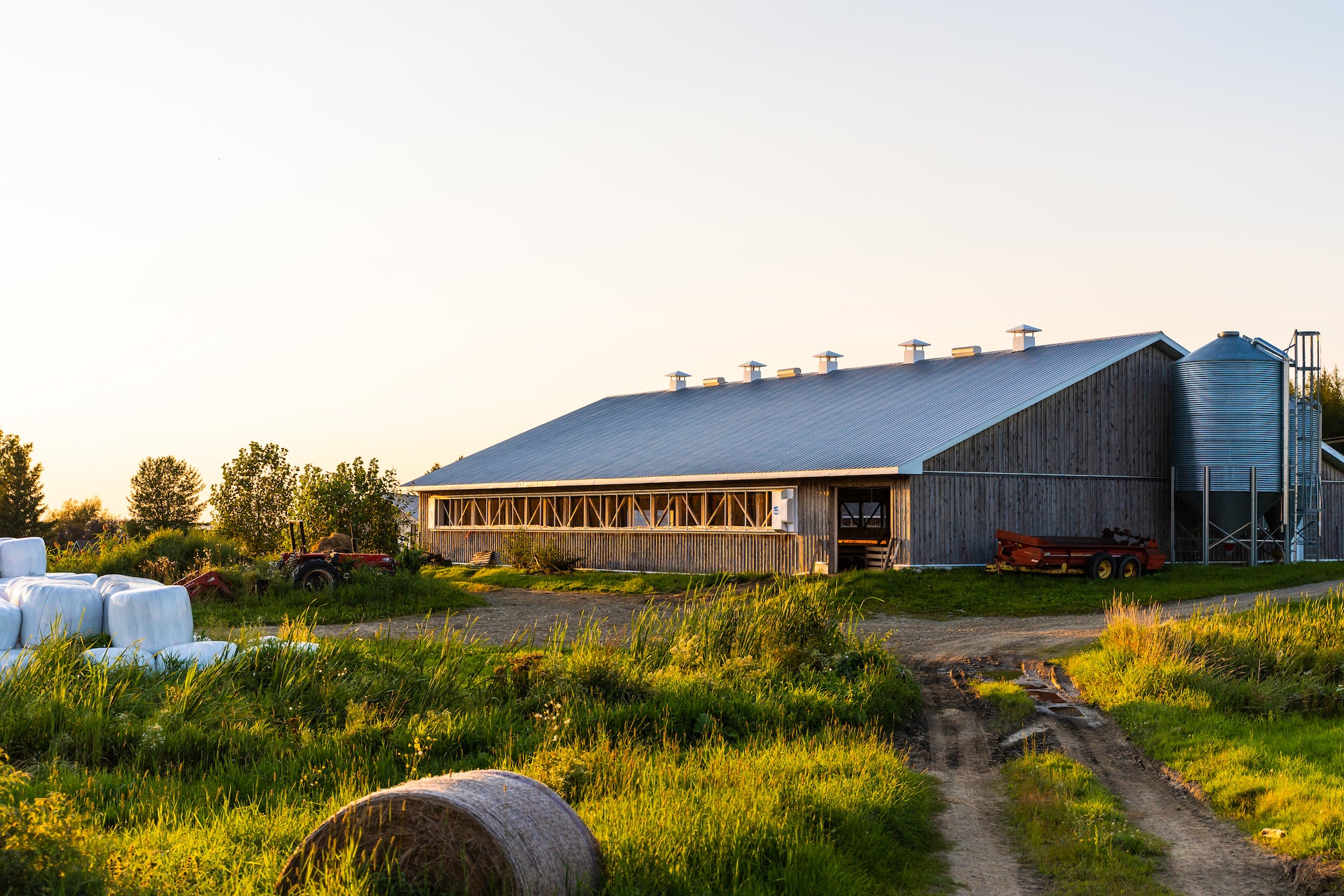 Sheep and valleys: discover sheep production