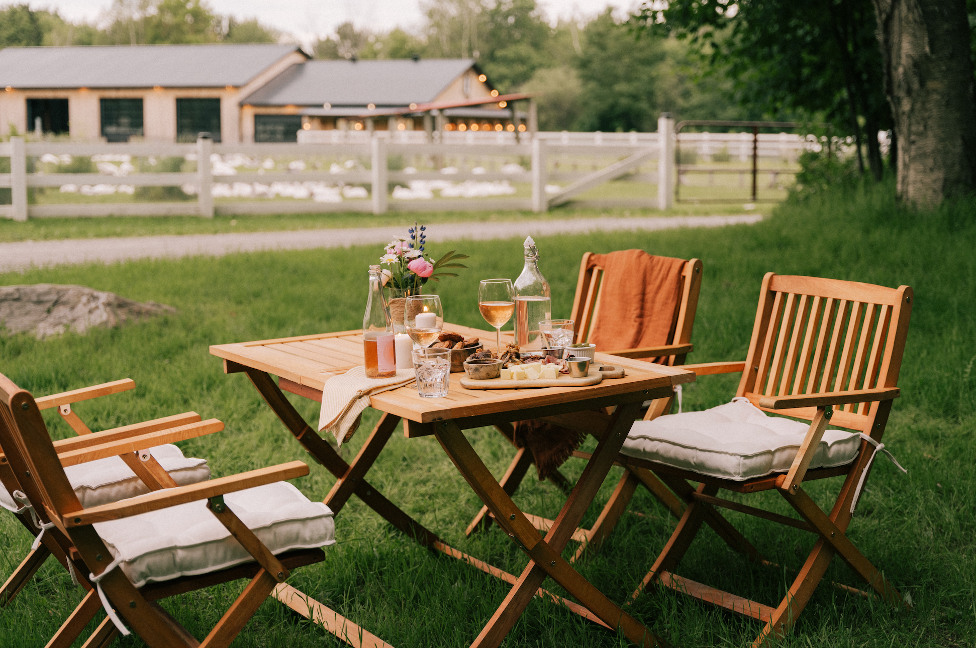 Country dinner on a goose farm