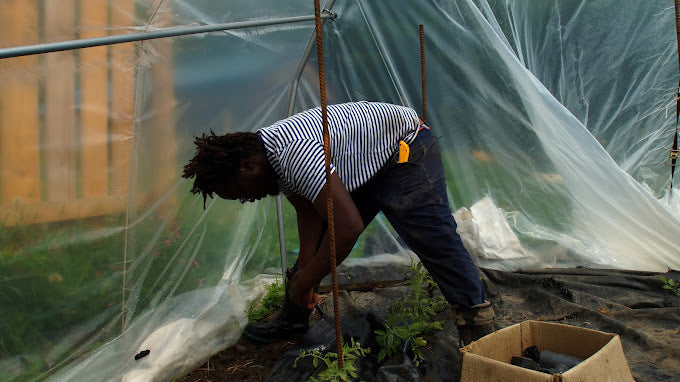 Discovery of exotic vegetables