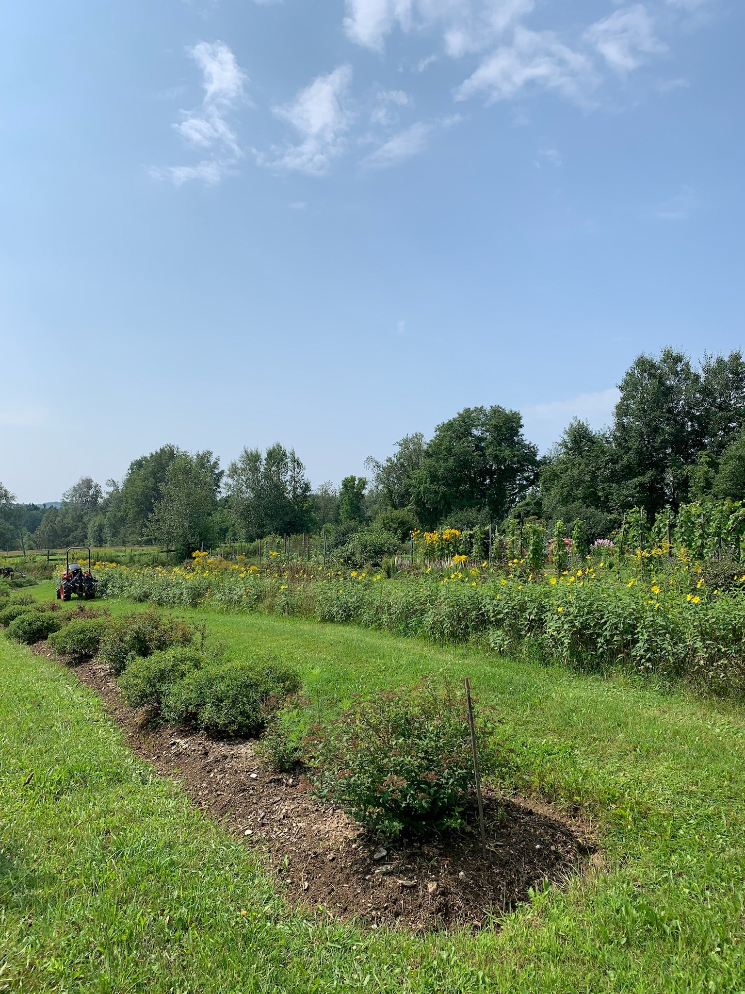Balade au coeur d’un vignoble et cidrerie biologique