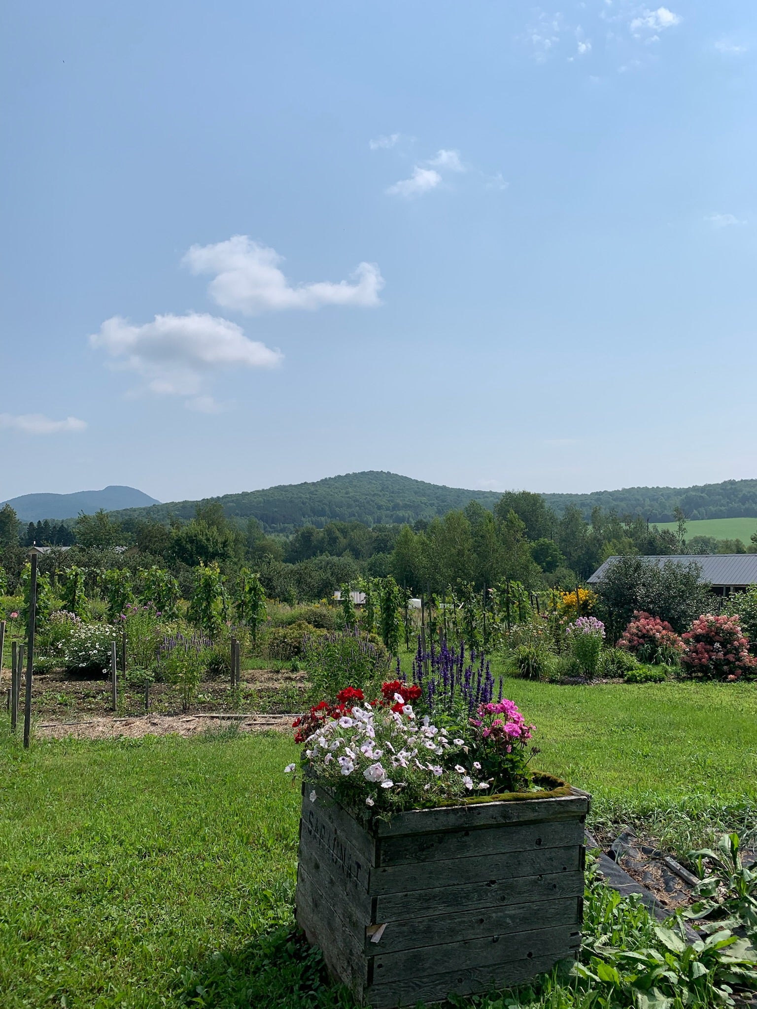 Balade au coeur d’un vignoble et cidrerie biologique