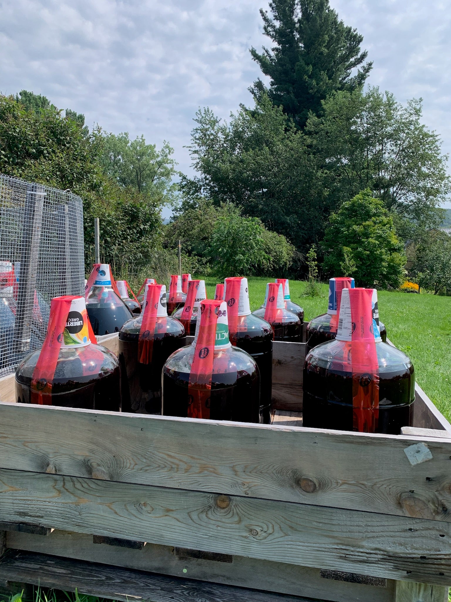 Balade au coeur d’un vignoble et cidrerie biologique