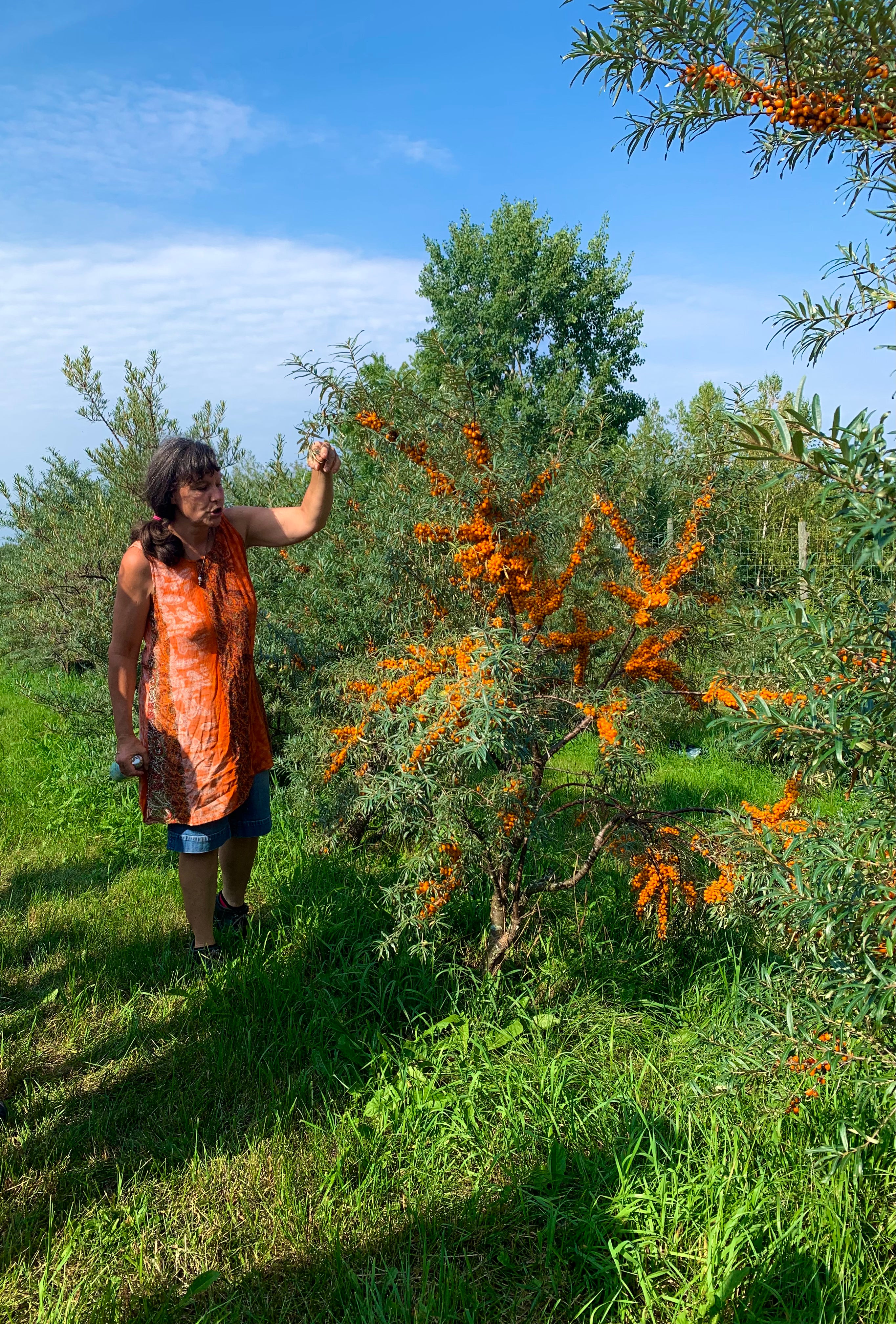 Picking and cake