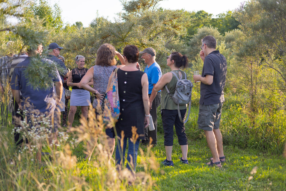 Sea buckthorn, honey and organic market garden