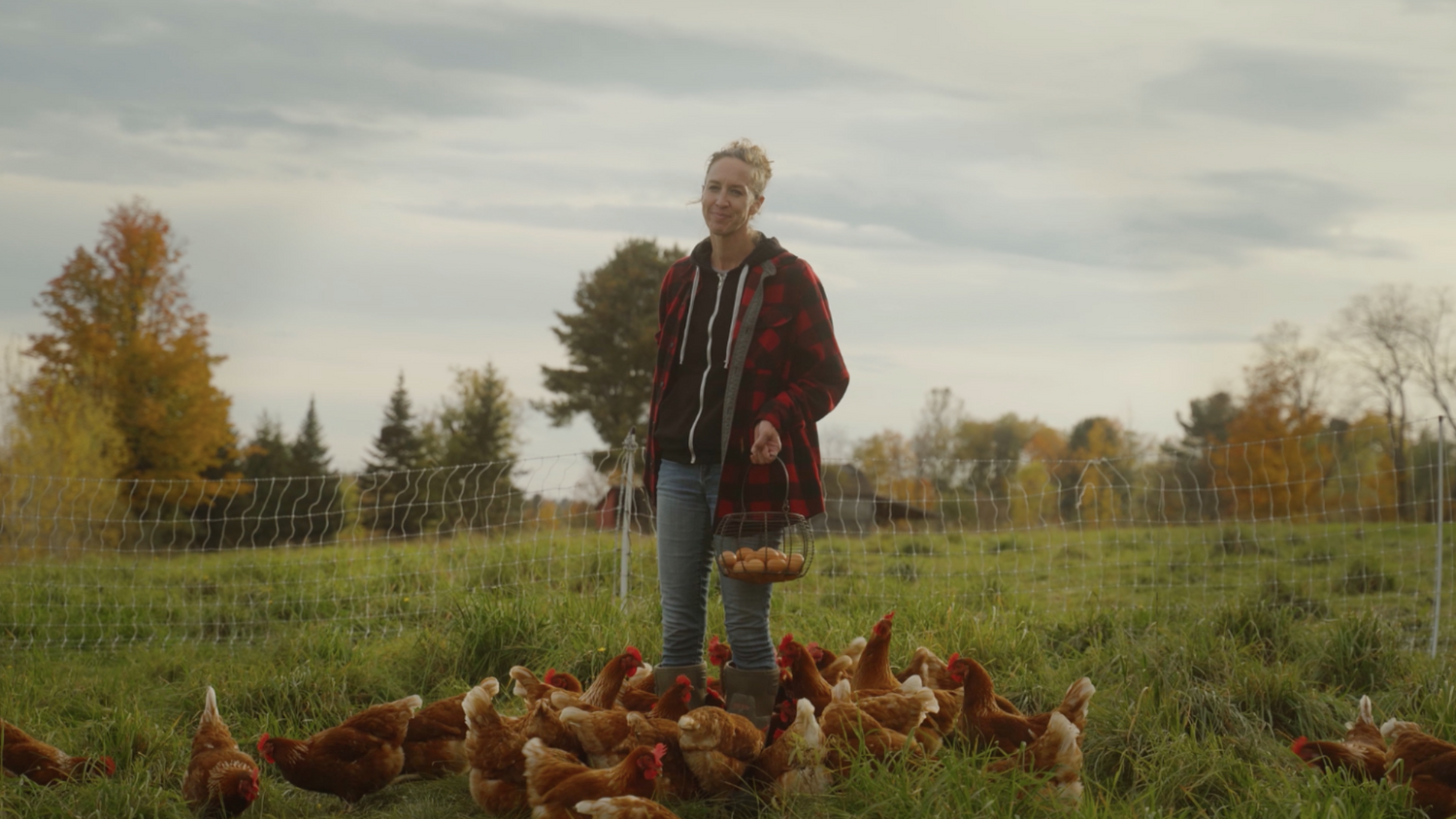 Ferme Patch - Prioriser la santé des sols