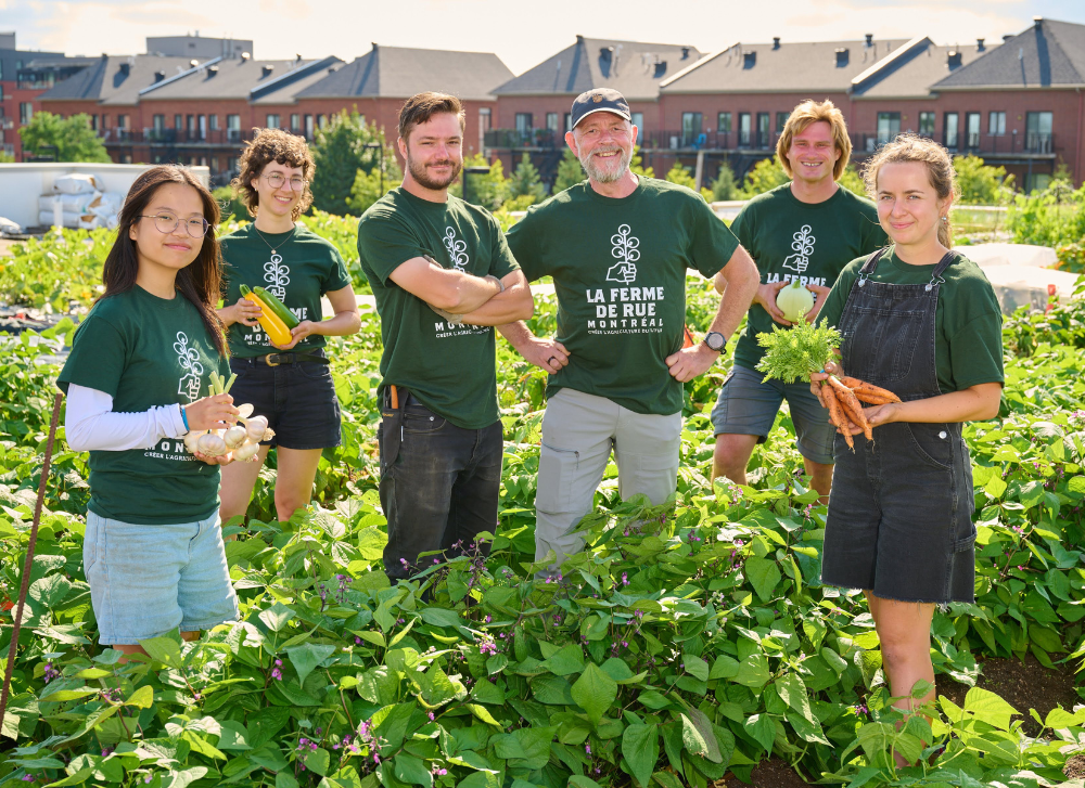 La Ferme de Rue Montréal: sur le toit vert du IGA