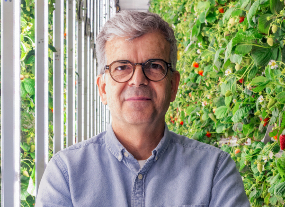 Yves Daoust, le maître de la fraise