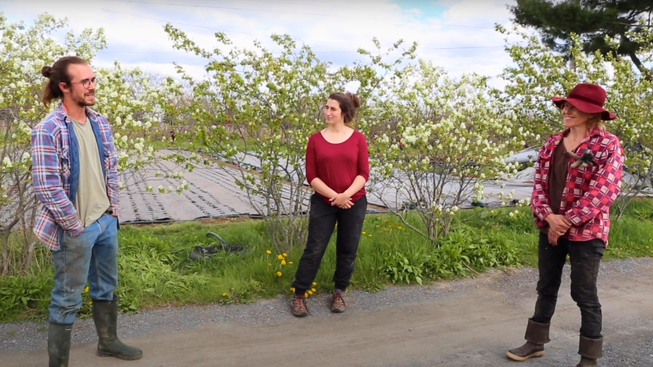 Épisode HORS-SÉRIE - La corvée solidaire aux Jardins de la Grelinette