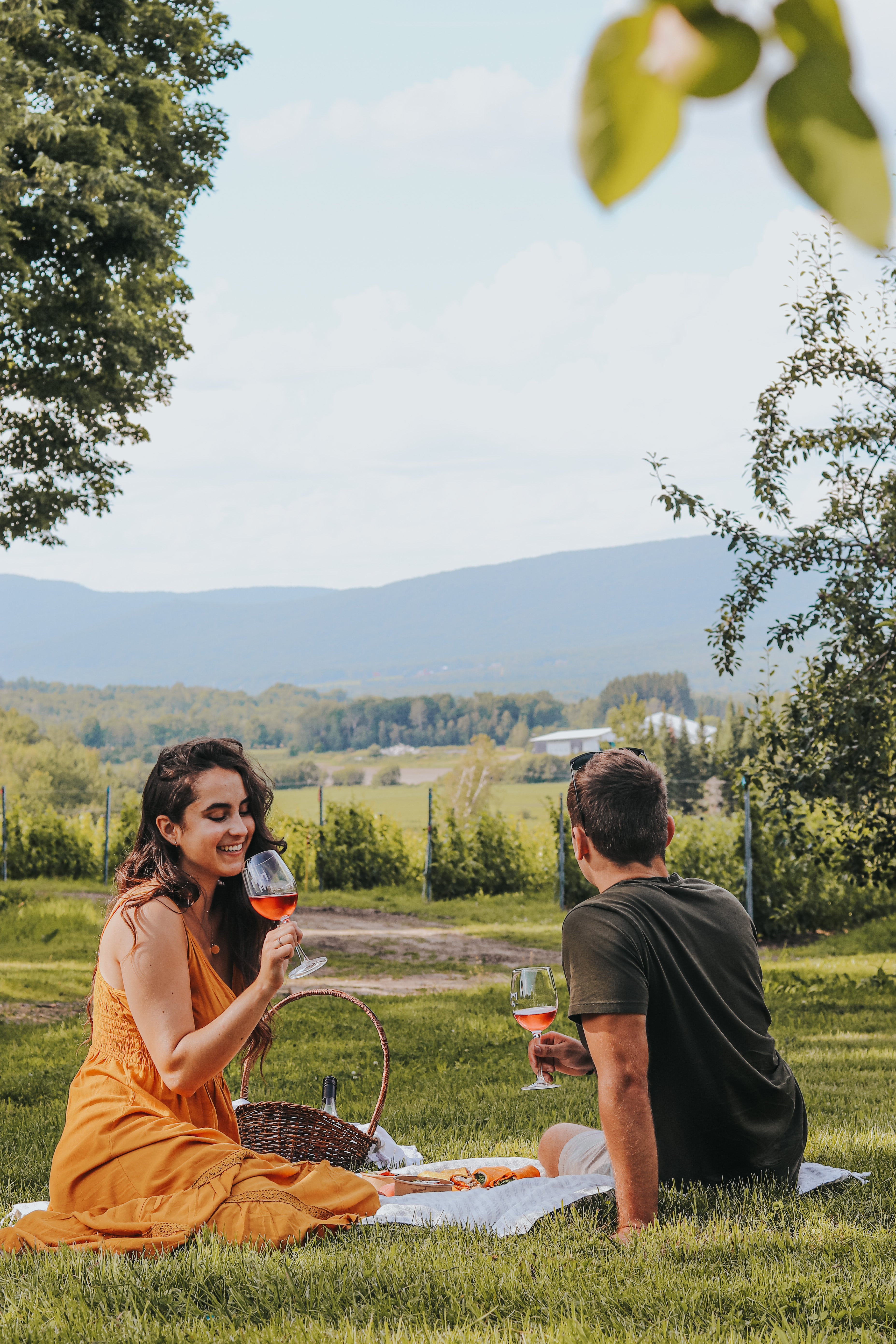 Découvrir La Route des Vins de Brome-Missisquoi