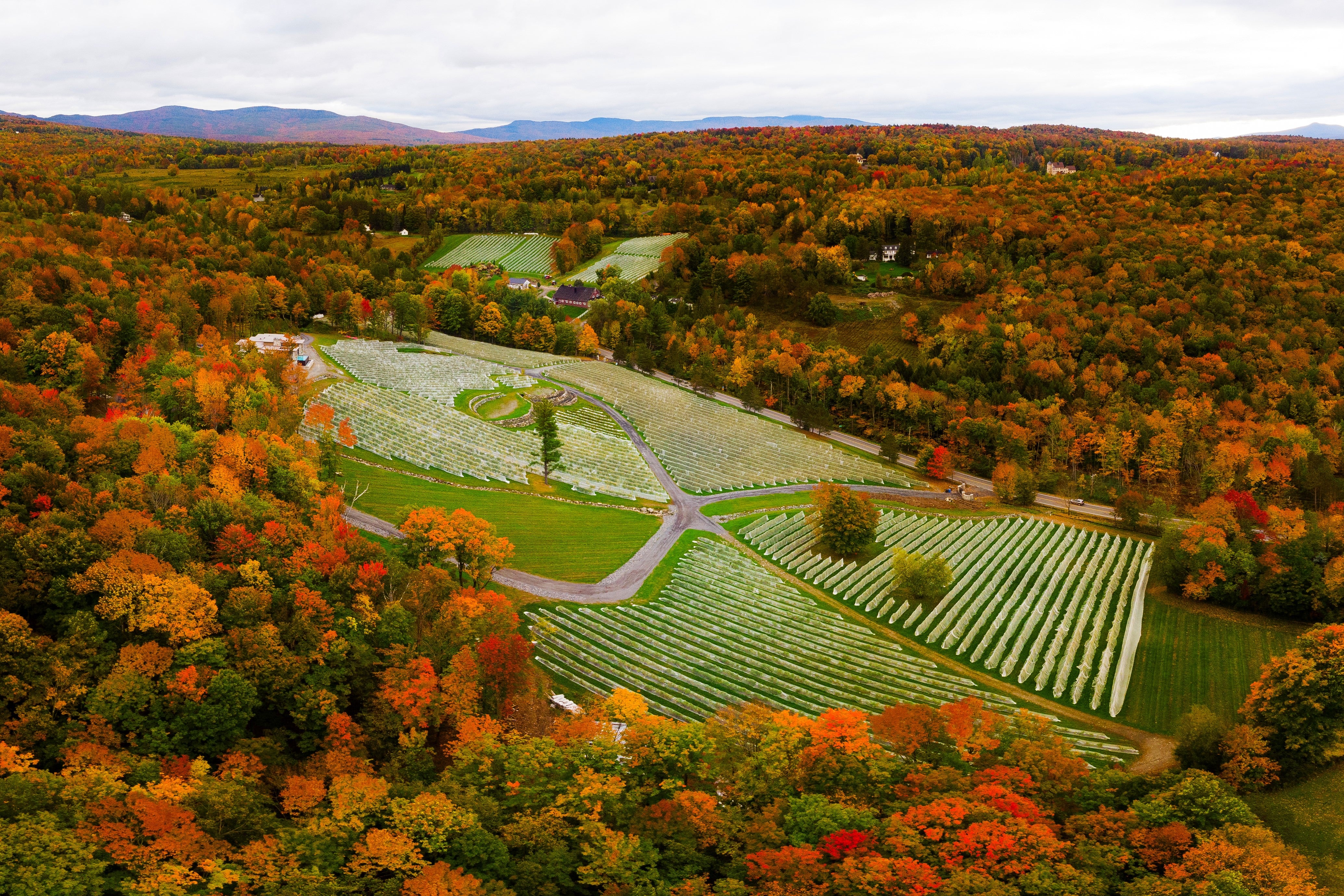 Découvrir La Route des Vins de Brome-Missisquoi